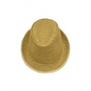 Fedora Hat