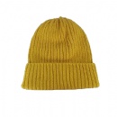 Beanie Hat